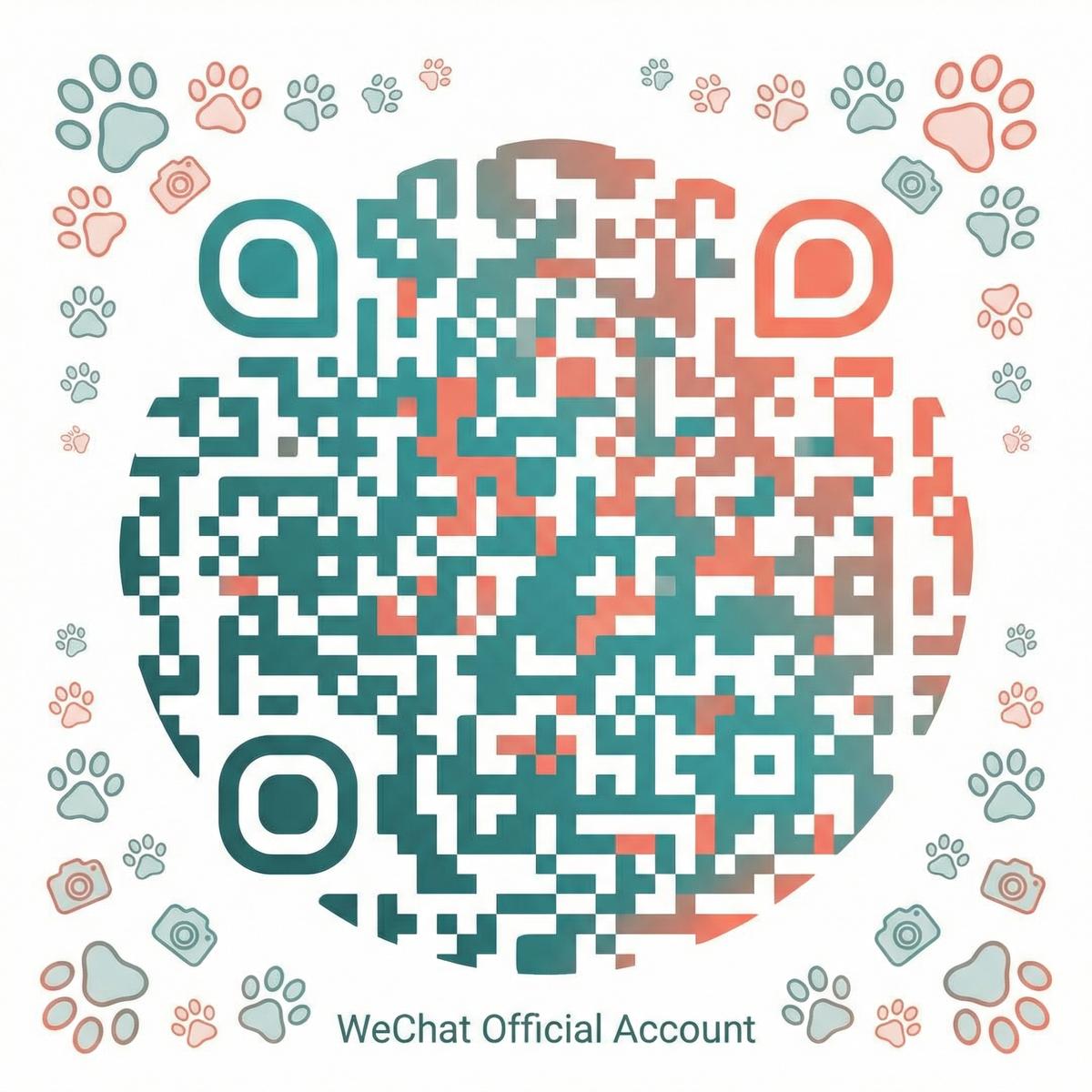 幼幼公众号二维码